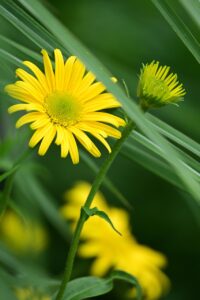 一人暮らしに最適な家電のおすすめコスパ商品は？