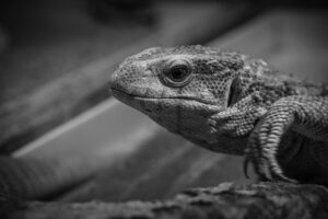 家事を効率化するための便利グッズは何がある？