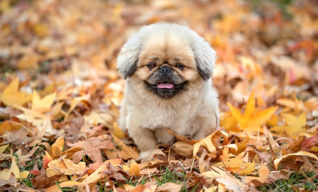 コスパ最強の家電はズボラ向けにどれがおすすめ？