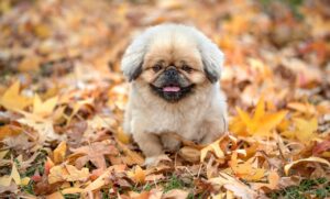 ワーママにおすすめの時短家電人気ランキングは？