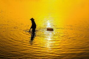 ズボラ向け家電の最新版で生活を楽にする方法は？