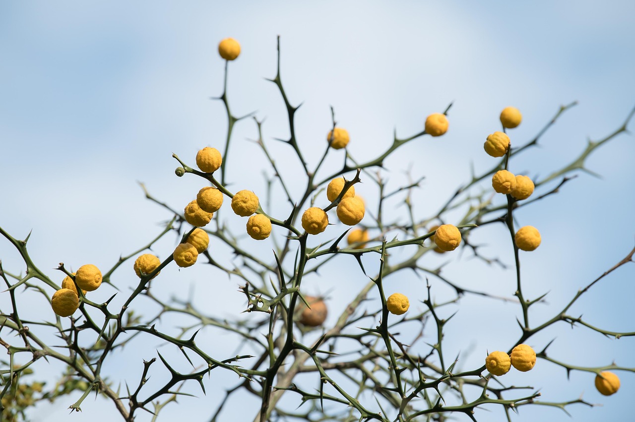 乾燥機を使った小型の一人暮らしに最適なアイテムは？