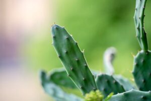 一人暮らしに最適な衣類乾燥除湿機の口コミは？