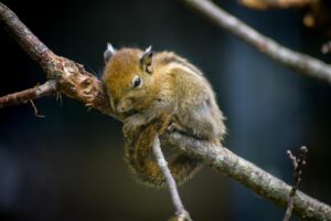 育児疲れを解消するホットクックの口コミは本当に役立つ？